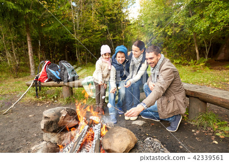 happy family roasting marshmallow over campfire 42339561