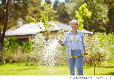 senior woman watering lawn by hose at garden senior woman watering lawn by hose at garden 42340786
