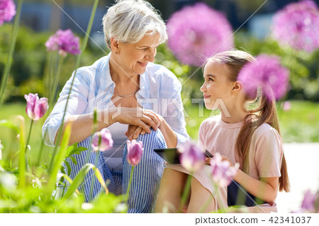 grandmother and girl with tablet pc at garden grandmother and girl with tablet pc at garden 42341037