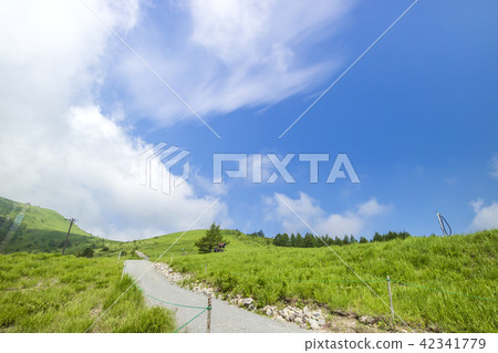 高原圖像從汽車山高地的視圖 42341779