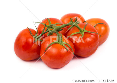 tomato isolated on white background 42341886