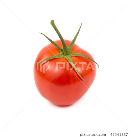 tomato isolated on white background tomato isolated on white background 42341887