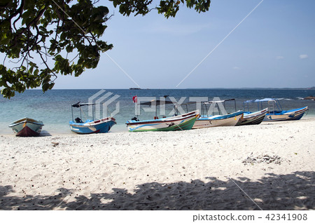 Pigeon Island National Park Sri Lanka 42341908