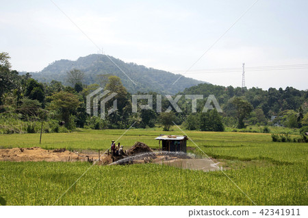 Gemming at Ratnapura Sri Lanka 42341911