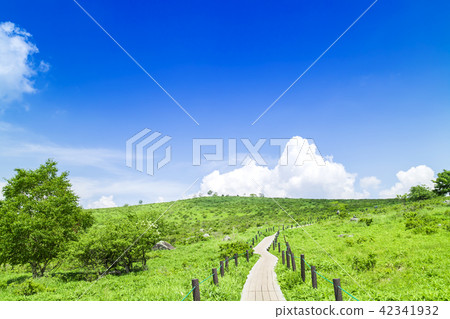 Takahara image View from the car mountain highlands Takahara image View from the car mountain highlands 42341932