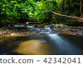 Chae Son National Park, Lampang ,Thailand 42342041