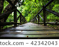 Chae Son National Park, Lampang ,Thailand 42342043