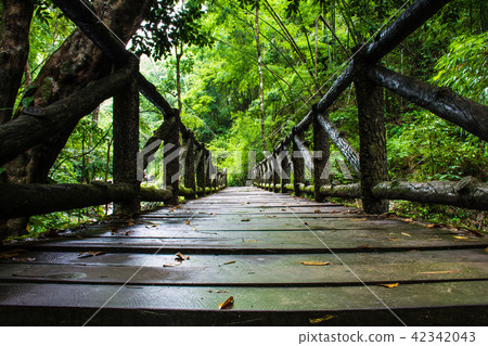 Chae Son National Park, Lampang ,Thailand Chae Son National Park, Lampang ,Thailand 42342043