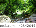 Chae Son National Park, Lampang ,Thailand 42342045