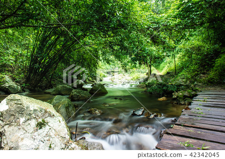 Chae Son National Park, Lampang ,Thailand 42342045