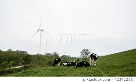 Daegwallyeong ranch experience, future eco-friendly development 42342258