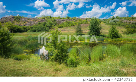 canyon Aktovo and Devil Valley in Ukraine canyon Aktovo and Devil Valley in Ukraine 42343755