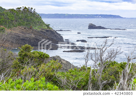 In Minamiizu-cho, Kamo-gun, Shizuoka prefecture, watching the direction of Susaki peninsula from Cape Minamiizu Talai 42343803