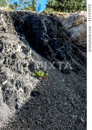Coallout at Grande Cache Alberta Canada 42343959