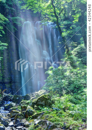 Kameida Fudo Falls Light Spot Kameida Fudo Falls Light Spot 42344248