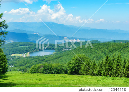 Shiraki Kogen的風景 42344358