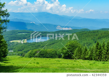 Shiraki Kogen的風景 42344359