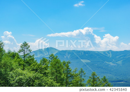 來自Shirakago Kogen的Kirigamine的風景 來自Shirakago Kogen的Kirigamine的風景 42345840