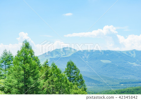 來自Shirakago Kogen的Kirigamine的風景 來自Shirakago Kogen的Kirigamine的風景 42345842