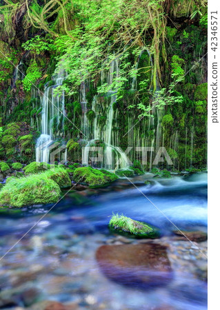 Motoyuki underwater water 42346571