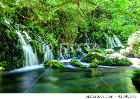 Motoyuki水下水 Motoyuki水下水 42346576