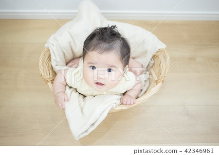 Baby in the basket 42346961