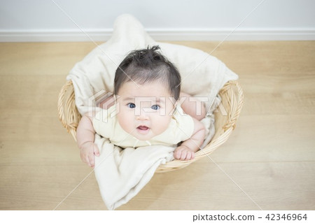 Baby in the basket 42346964