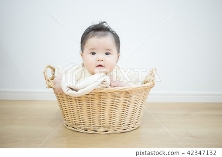 Baby in the basket 42347132
