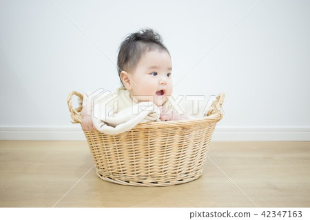 Baby in the basket 42347163