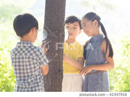 孩子 42347916