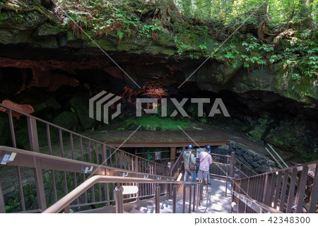 (Yamanashi Prefecture) Narusawa ice hole entrance / exit (Yamanashi Prefecture) Narusawa ice hole entrance / exit 42348300
