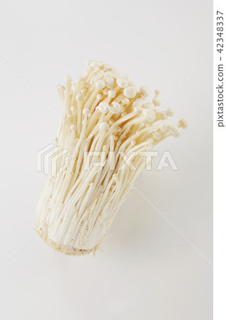 Enoki mushroom Enoki mushroom 42348337