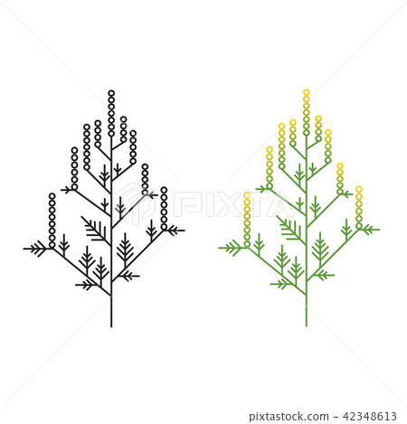 Ragweed minimalistic line art  42348613
