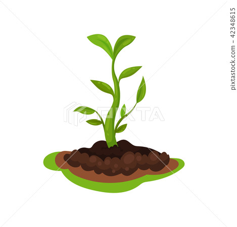 Young sprout with bright green leaves in the ground. Gardening and cultivation theme. Flat vector 42348615