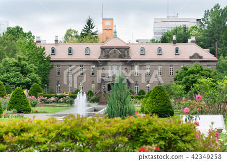 Hokkaido Sapporo Boulevard Park in early summer Rose garden Hokkaido Sapporo Boulevard Park in early summer Rose garden 42349258