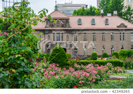 Hokkaido Sapporo Boulevard Park in early summer Rose garden 42349265