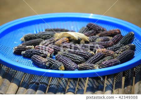 Nakan-eup城堡 42349308