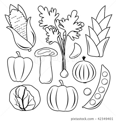 Vegetable Black Icon Set Vector 42349401