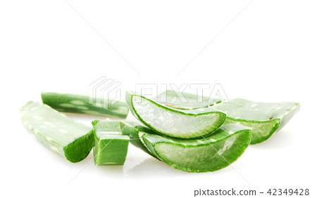 Aloe vera plant 42349428