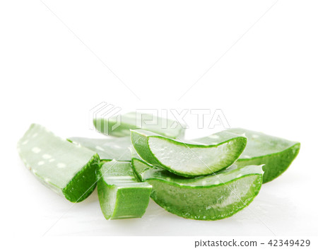 Aloe vera plant 42349429