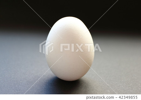 Egg egg Egg egg 42349855