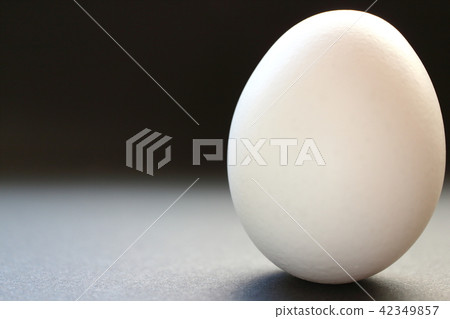 Egg egg Egg egg 42349857