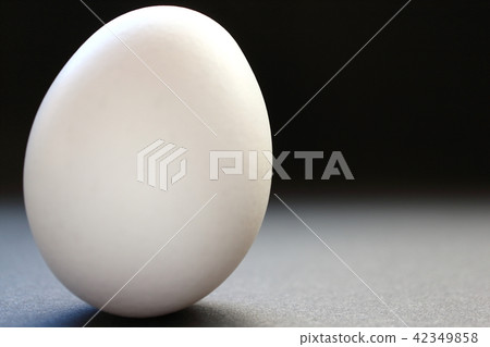 Egg egg 42349858