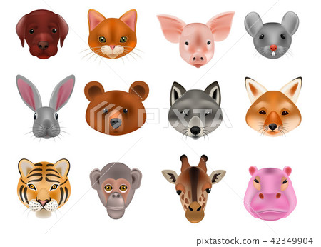 Animal mask vector animalistic masking face of wild characters bear wolf rabbit and cat or dog on Animal mask vector animalistic masking face of wild characters bear wolf rabbit and cat or dog on 42349904