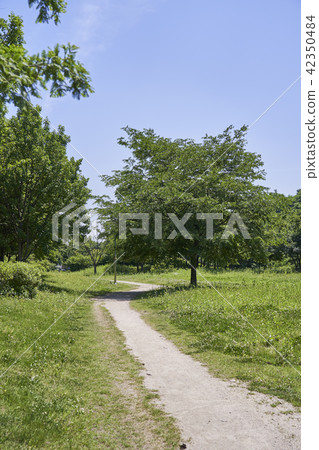 Nanjicheon公園 42350484