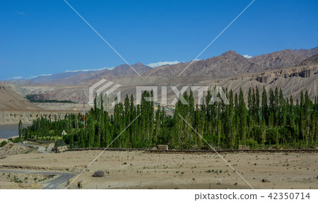Mountain scenery of Kashmir & Jammu Mountain scenery of Kashmir & Jammu 42350714