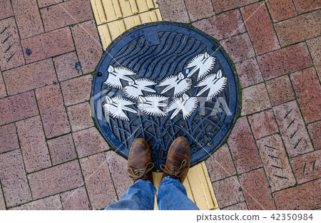 Manhole cover on street 42350984