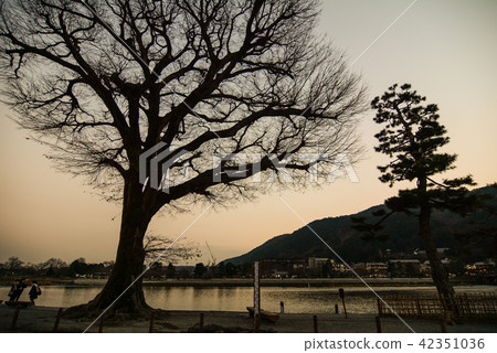 People enjoying at riverside park 42351036
