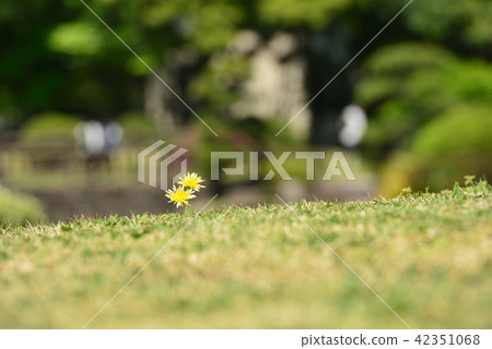 城市景觀日本花園 城市景觀日本花園 42351068