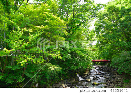 Early summer Izu Shuzenji 42351641